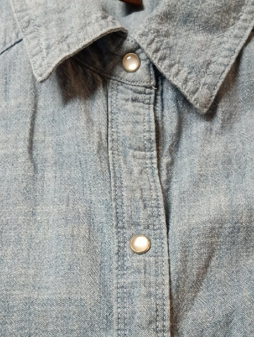Bit & Bridle Light Blue Sleeveless Chambray Top